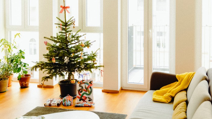 Ein eingetopfter Weihnachtsbaum in einem Wohnzimmer.