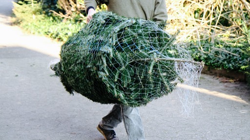 Ein in ein Netz gewickelter Weihnachtsbaum. Der Baum wird von einer Person getragen.