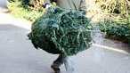 Ein in ein Netz gewickelter Weihnachtsbaum. Der Baum wird von einer Person getragen.