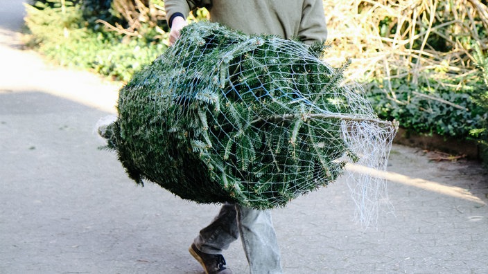 Ein in ein Netz gewickelter Weihnachtsbaum. Der Baum wird von einer Person getragen.