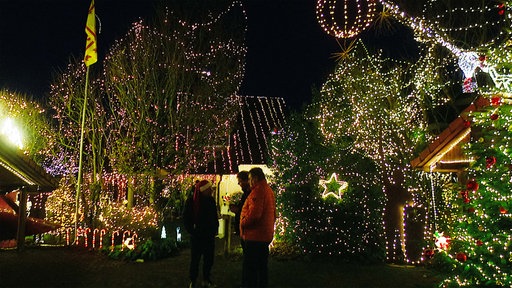 Festlich geschmückte Weihnachtsbäume mit golden leuchtenden Lichterketten in der Dämmerung.