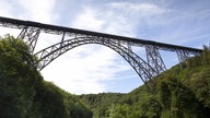 Eine hohe Brücke erstreckt sich über hohen Baumkronen.
