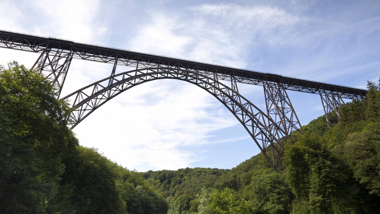 Eine hohe Brücke erstreckt sich über hohen Baumkronen.