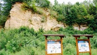 Informationstafeln stehen vor dem Doberg in Bünde.