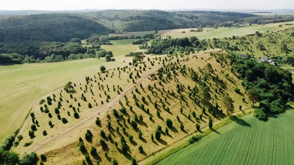 Aufnahme des Kalvarienbergs von oben.