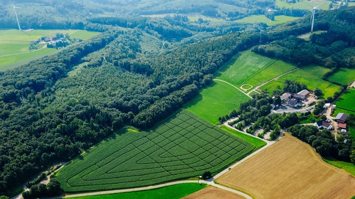 Der Bergerhof, ein Erlebnisbauernhof in der Elfringhauser Schweiz, von oben