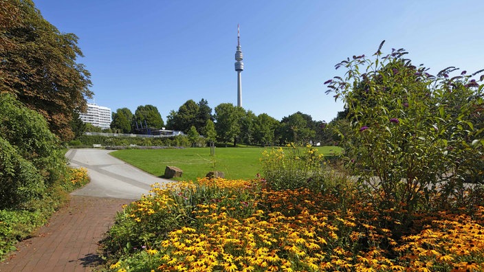 Im Vordergrund bunte Blumen und eine große Wiese, im Hintergrund vor blauem Himmel der Florianturm im Dortmunder Westfalenpark