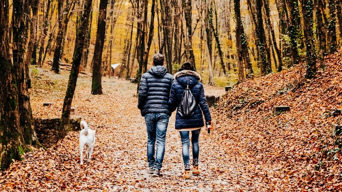 Eine Frau und ein Mann laufen mit einem Hund durch einen herbstlichen Wald.