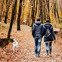 Eine Frau und ein Mann laufen mit einem Hund durch einen herbstlichen Wald.