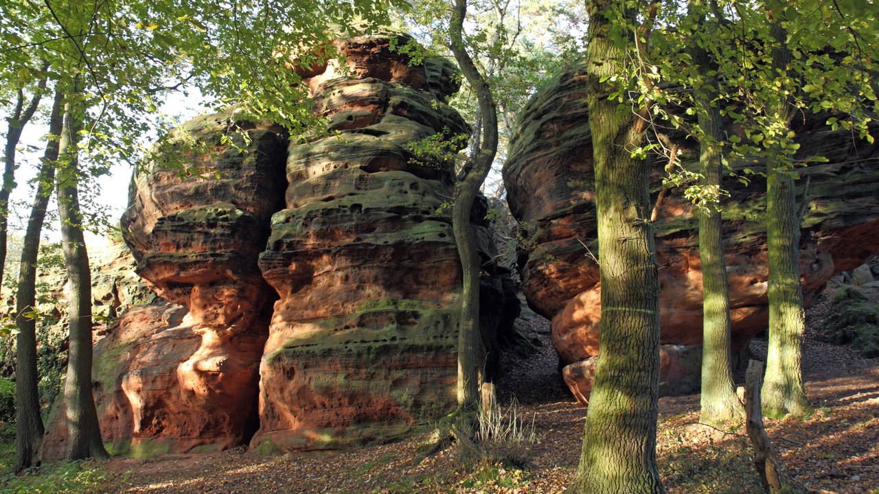 Mehrere Gesteinsformationen, die in den Himmel ragen und von Wald umgeben sind.
