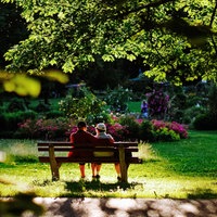 Ein Paar sitzt entspannt Arm in Arm auf einer Parkbank in einem blühenden Garten.