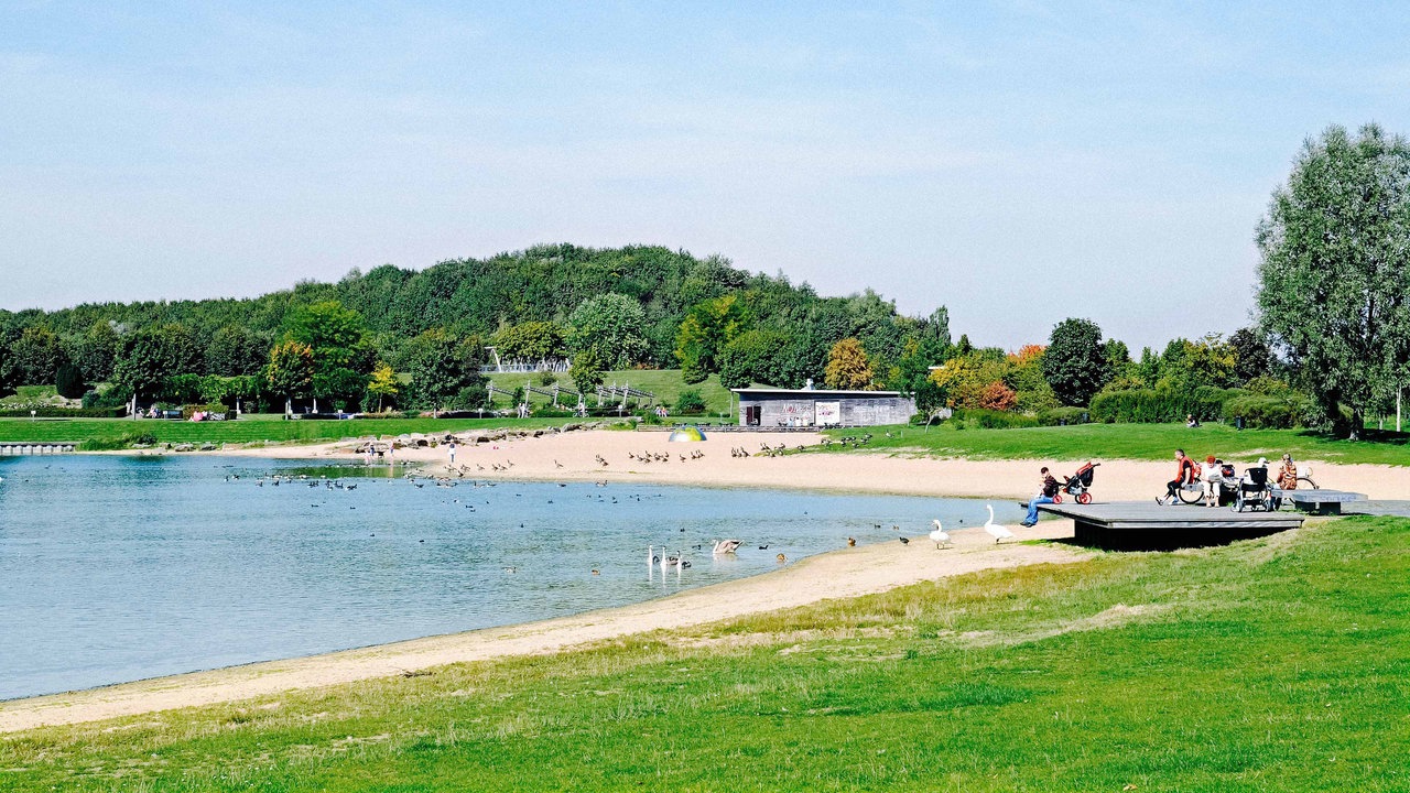 Mehrere Menschen sitzen auf einer Plattform am Strand des Seeparks Lünen. Um sie herum befinden sich verschiendene Vögel.