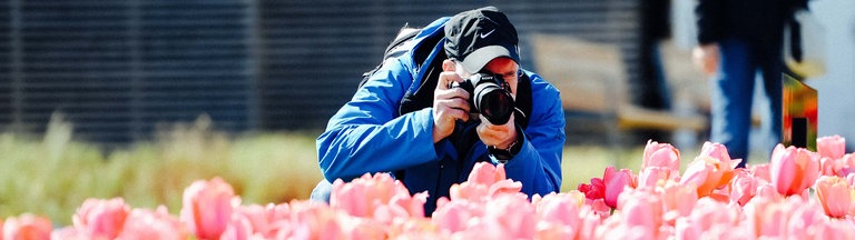 Ein Mann fotografiert im Hocken ein Beet voller Tulpen.