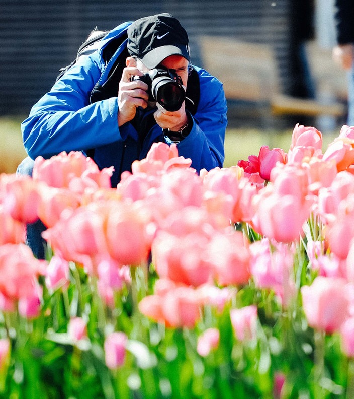 Ein Mann fotografiert im Hocken ein Beet voller Tulpen.