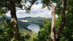 Panoramabild vom Wald auf den Diemelsee im Sauerland