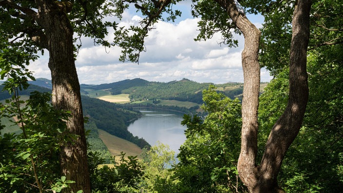 Panoramabild vom Wald auf den Diemelsee im Sauerland