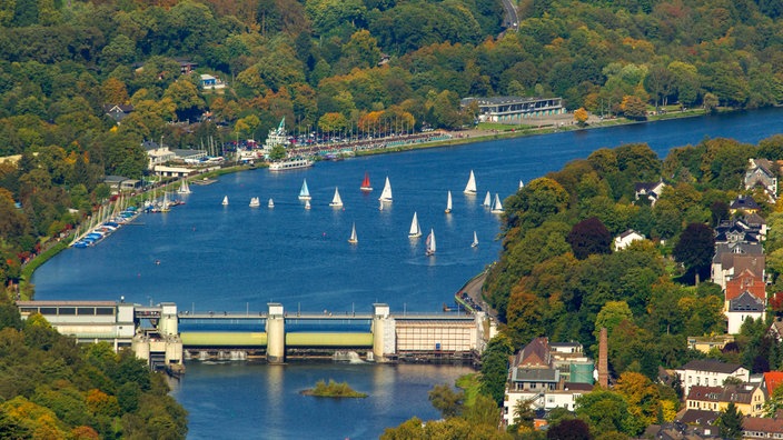 Auf dem Essener Baldeneysee tummeln sich Segler, Ausflugsschiffe und andere Wassersportler
