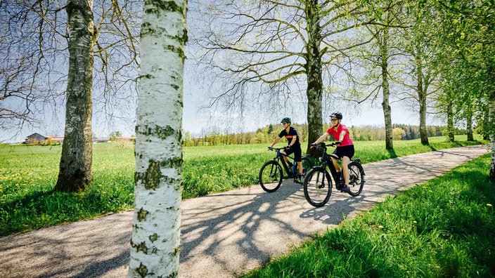Zwei Radfahrer fahren bei Sonnenschein durch eine Allee