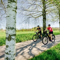 Zwei Radfahrer fahren bei Sonnenschein durch eine Allee