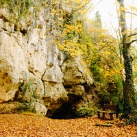 Ein grauer Felsen inmitten einer herbstlichen Waldumgebung. Neben einem Baum steht eine braune Parkbank.