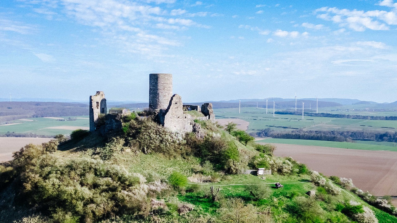Auf dem Desenberg stehen der Turm und Mauern einer alten Burg, im Hintergrund Felder und Windräder