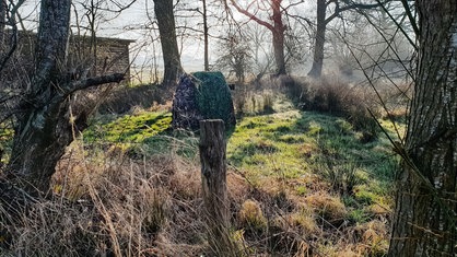 Ein Tarnzelt steht auf einer Wiese zwischen Gestrüpp und Bäumen.