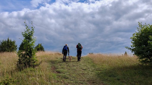 Zwei Wanderer steigen mit einem Hund einen Hügel auf der "Eifelspur Toskana" hinauf