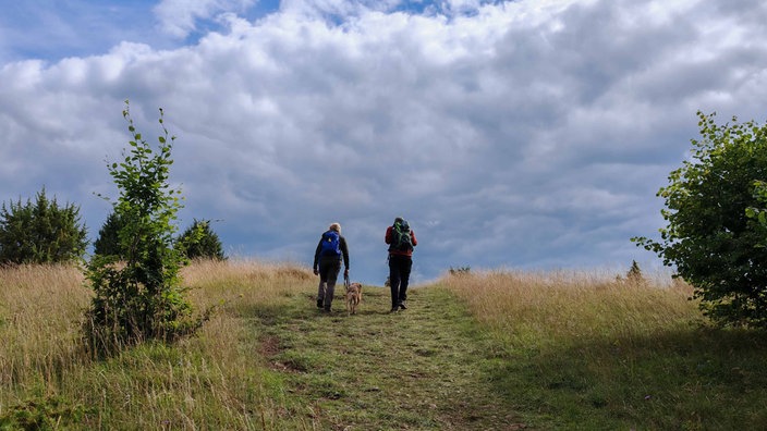 Zwei Wanderer steigen mit einem Hund einen Hügel auf der "Eifelspur Toskana" hinauf