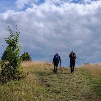 Zwei Wanderer steigen mit einem Hund einen Hügel auf der "Eifelspur Toskana" hinauf