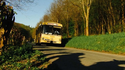 Ein alter, beiger Bus fährt auf einer Straße, links und rechts stehen Bäume