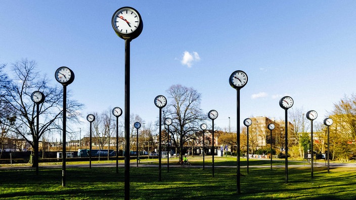 Ein Feld aus großen Bahnhofsuhren steht als Kunstinstallation in einem Park.