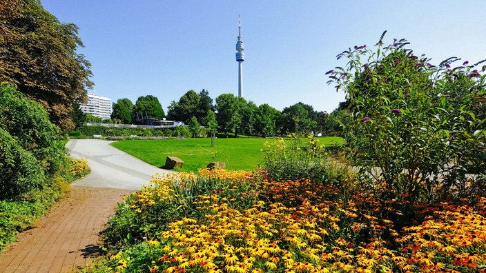 Bunte Blumen blühen im Westfalenpark in Dortmund, im Hintergrund der Florianturrm.