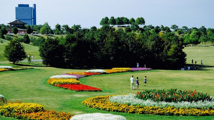 Bunte Blumenbeete an der Rheinaue in Bonn, im Hintergrund das Abgeordnetenhaus Langer Eugen.