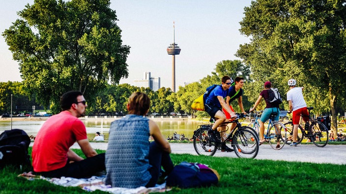 Menschen picknicken auf einer Wiese, im Hintergrund der Kölner Fernsehturm.