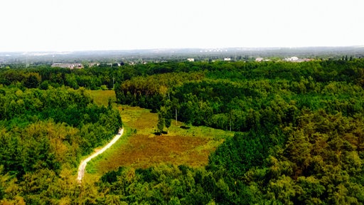 Blick über die Ohligser Heide.