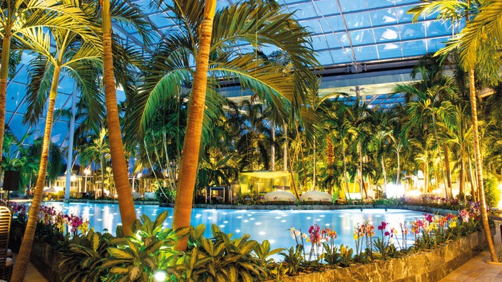 Unter einer großen Glaskuppel befindet sich ein Schwimmbecken, das von Palmen umgeben ist