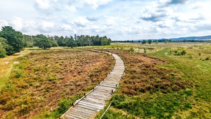 Ein Wanderweg durch das Große Torfmoor in Minden-Lübbecke