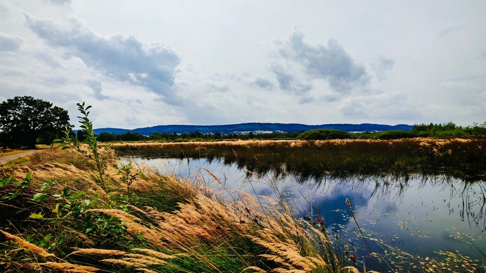 Blick auf das Große Torfmoor
