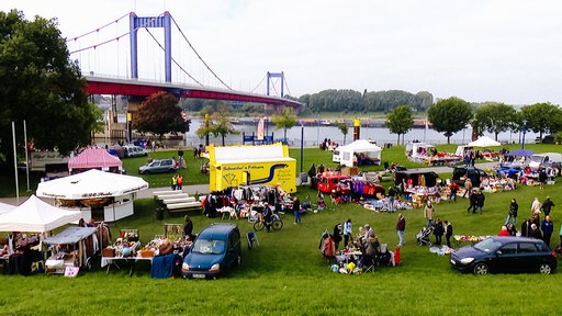 Auf einer Wiese an einem Fluss findet ein Trödelmarkt mit vielen Ständen und Besuchern statt.