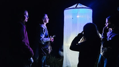 Eine Frau und drei Mädchen stehen um eine Leuchtsäule, die Insekten anzieht.