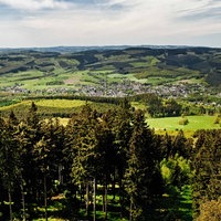 Eine Landschaft. In der Ferne waldbedeckte Berge. Im Vordergund Fichten.