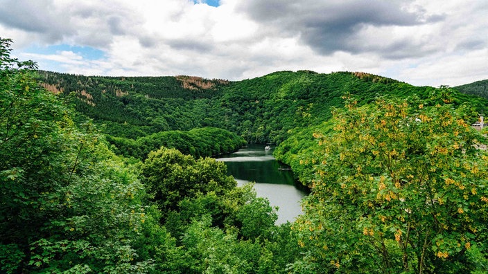 Grüne waldbedeckte Hügel. Zwischen ihnen ein See.