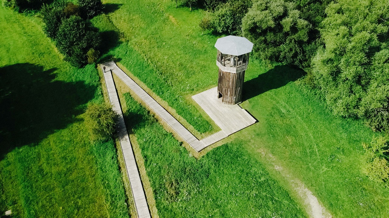 Hölzerner Aussichtsturm von "Walkway and Tower" von oben. Zum Turm führt ein Zickzack-Weg.