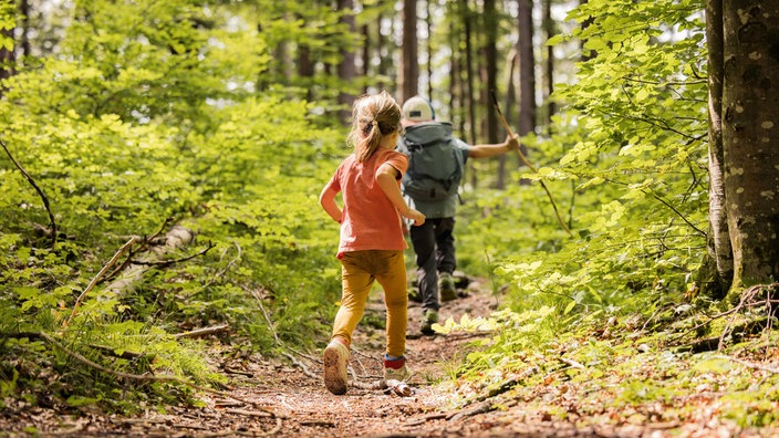 Zwei Kinder, ein Junge mit Rucksack vorne weg und ein Mädchen hinter ihm von hinten, laufen einen Waldweg entlang