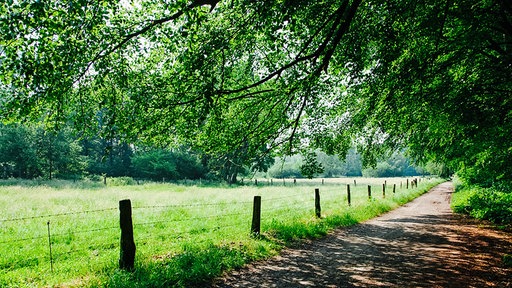 Wandern zwischen Maas und Schwalm