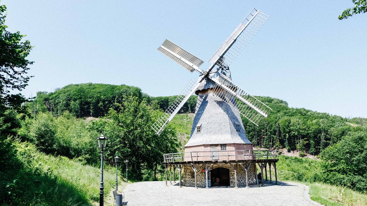 Eine Windmühle steht auf einem Hügel. Rundherum Bäume.