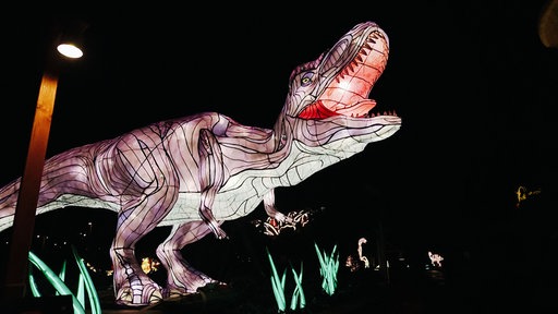 Schwarzer Nachthimmel. Eine Lichtinstallation stellt einen lila T-Rex dar. Er leuchtet hell.