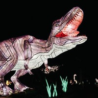 Schwarzer Nachthimmel. Eine Lichtinstallation stellt einen lila T-Rex dar. Er leuchtet hell.