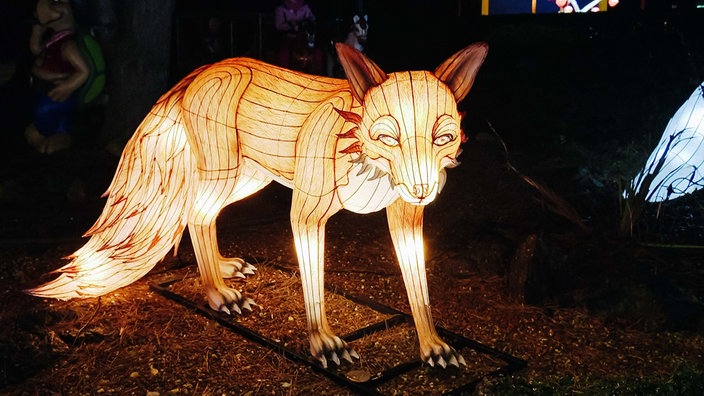 Schwarzer Nachthimmel. Eine Lichtinstallation zeigt einen Fuchs. Er leuchtet hell.