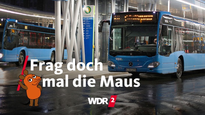 Linienbus der Wuppertaler Stadtwerke am Busbahnhof in Elberfeld